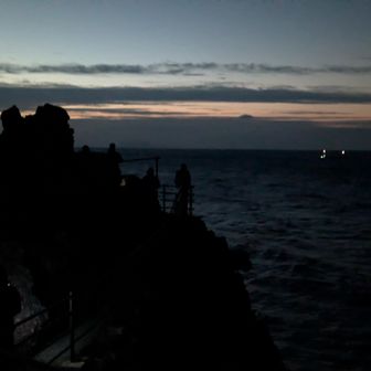 参考にした画像ではこの辺から登ってきてる感じだったけど…どうかしら？