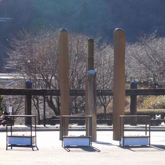 神奈川県立あいかわ公園に下りてきて無事登山終了。
いろいろあった楽しい登山でした。