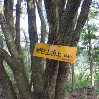 栄谷山山頂