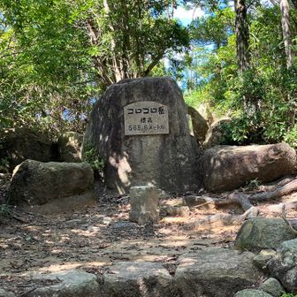 ごろごろ岳山頂