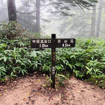 第一ベンチまであっという間だった
