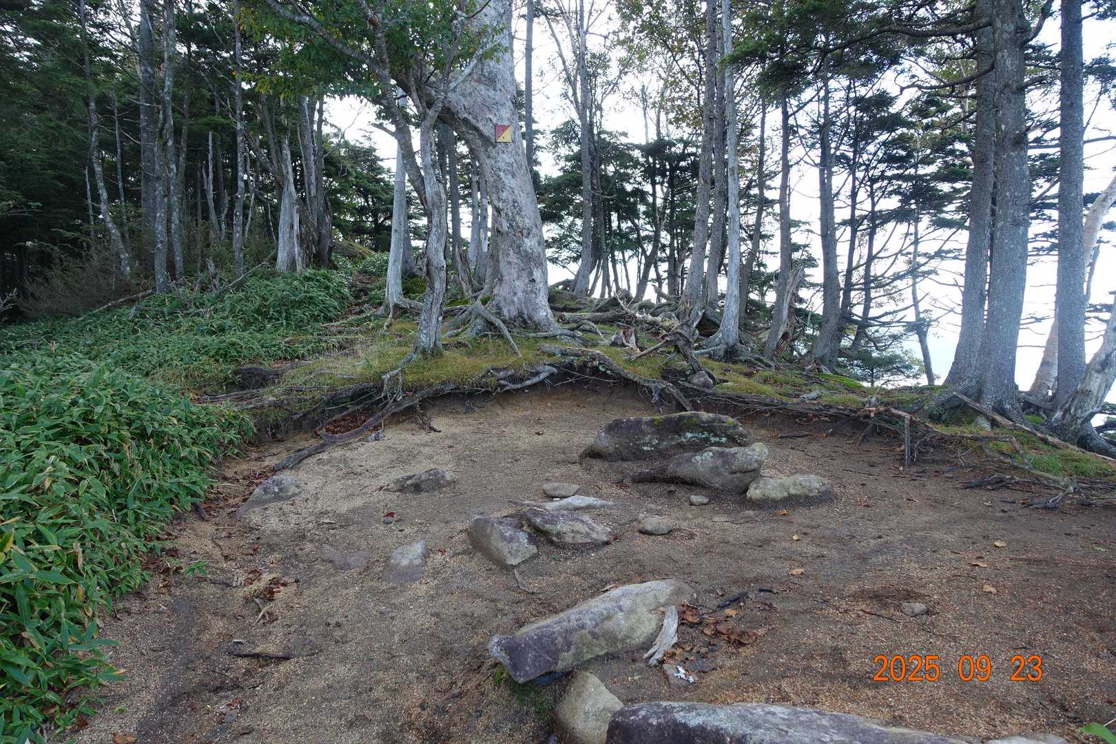 太郎山登山口-山王帽子山-太郎山 往復コースの写真