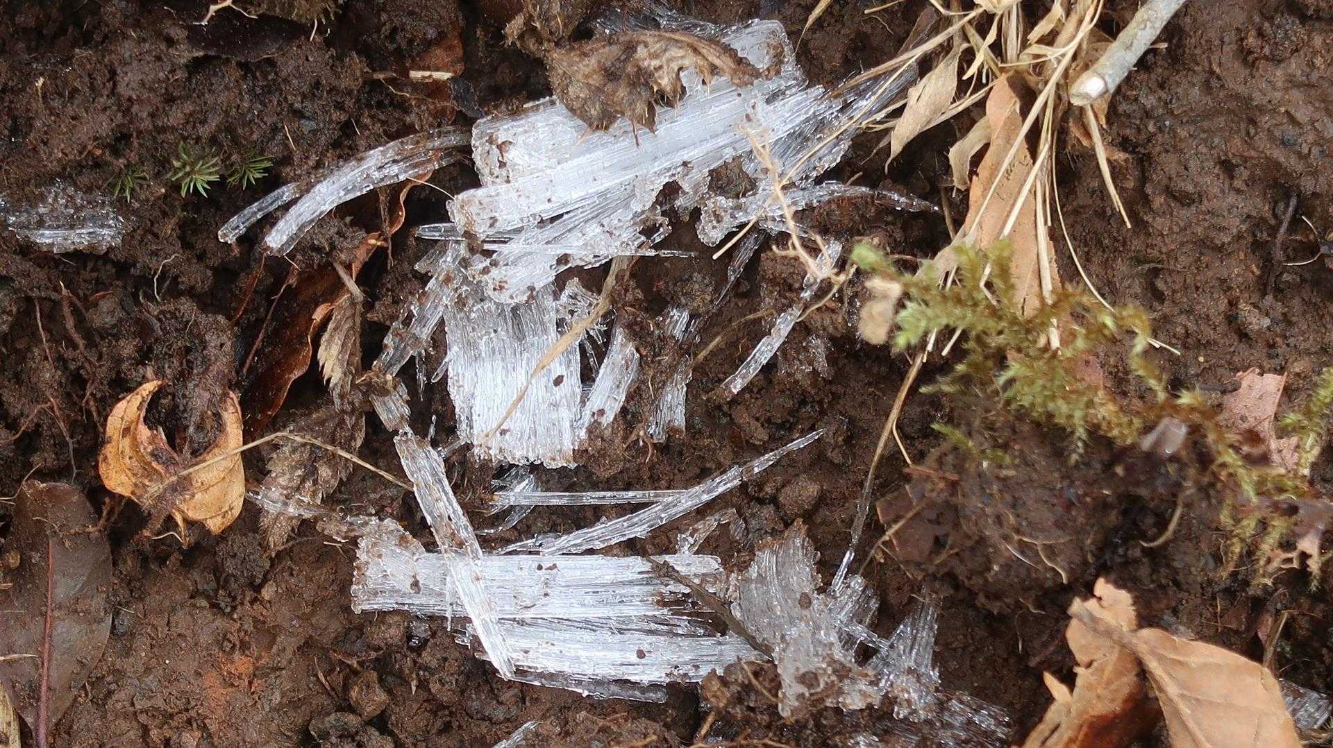 寒いわけだ🥶