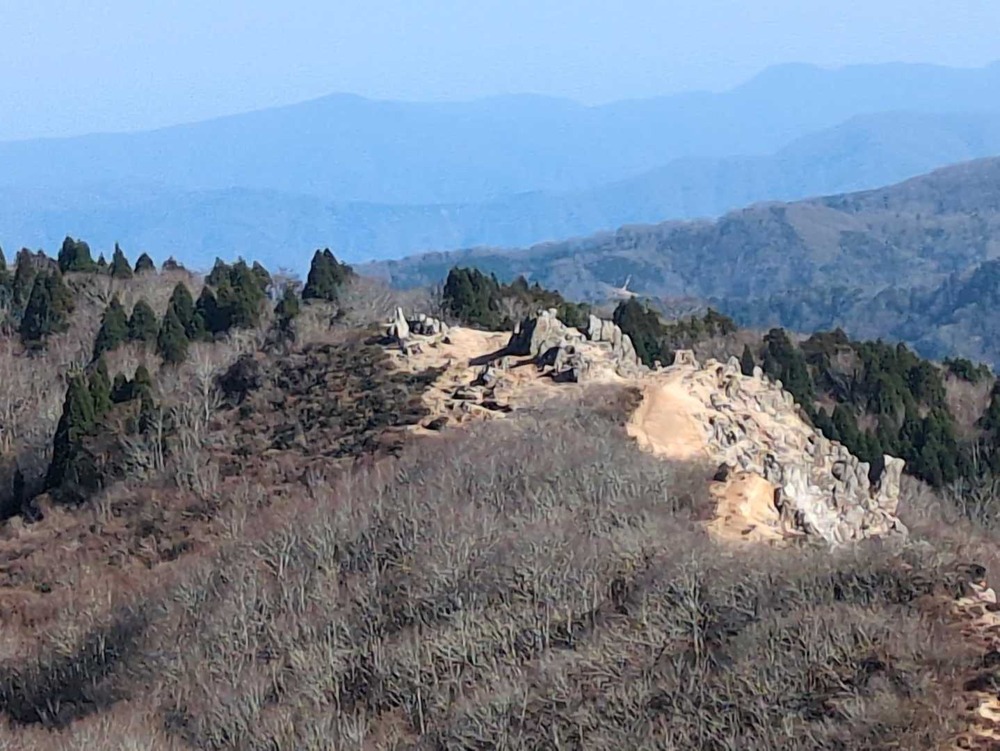 赤坂山 周回コースの写真