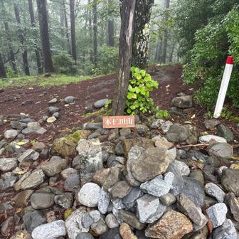 本仁田山⛰️  

６回目か７回目か🧐
人が誰もいないのは、初めてかも