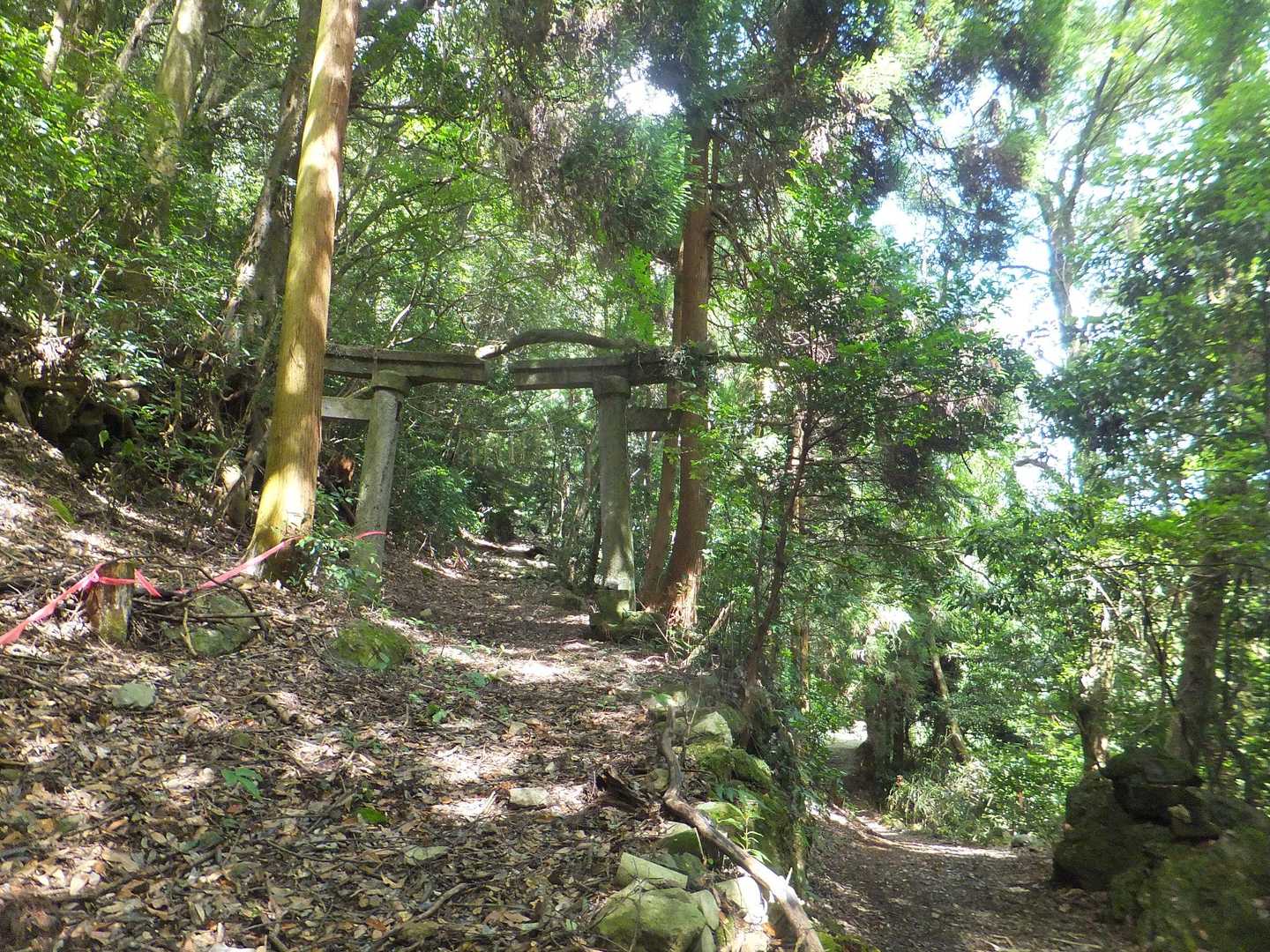 此処の分岐で間違う
右が正解⭕
真っ直ぐ鳥居の有る左側の道を行ってしまった❌😵💧
