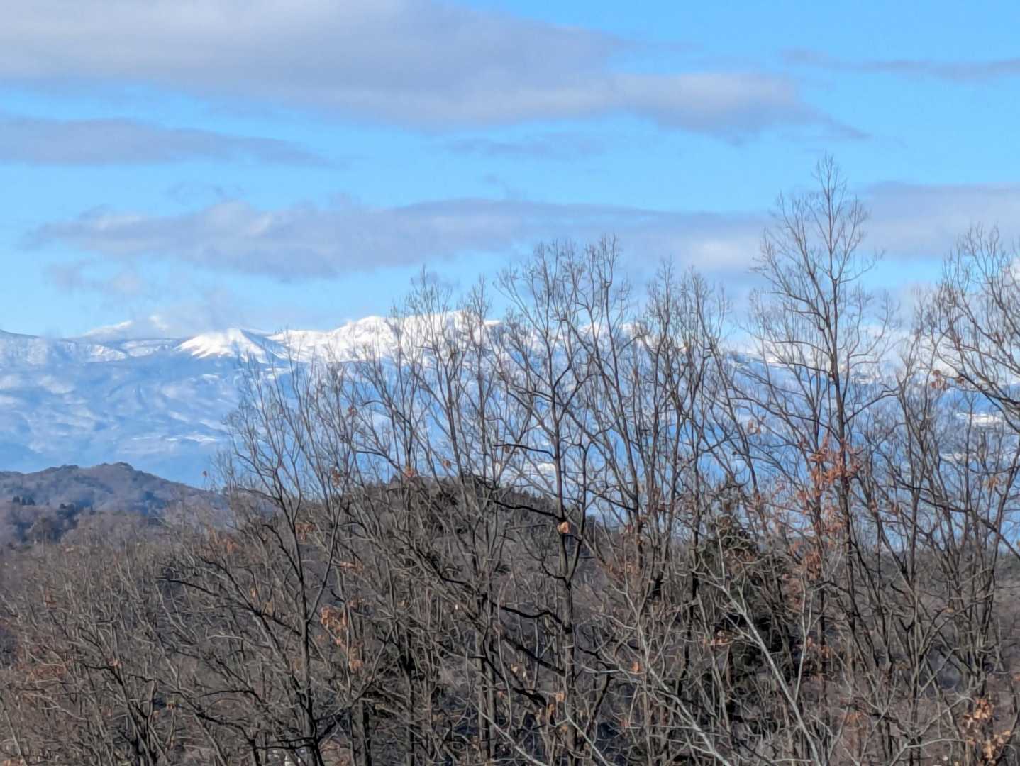 吾妻連峰🏔️は、木の枝が少し邪魔をしてます…