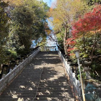 愛宕山（標高26m）へ出世の階段を登る