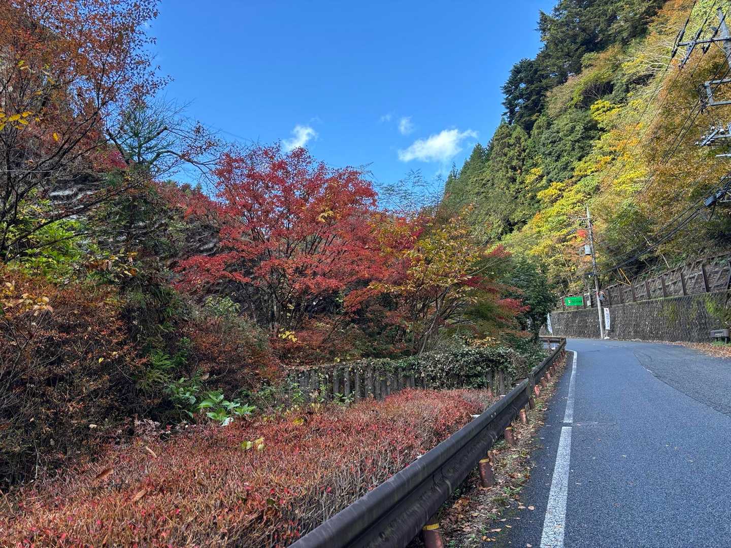 お風呂♨️はもうすぐ！
舗装路を走る登りで疲れたけど気持ち良いゴールでした〜🏃‍♀️‍➡️