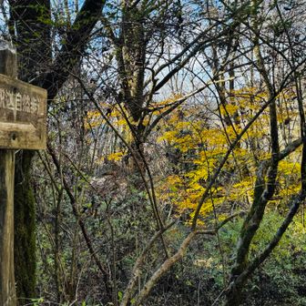 自然歩道を下りていきます。