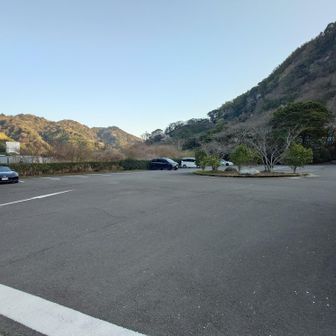 駐車場に帰還
こちらも減ってますね