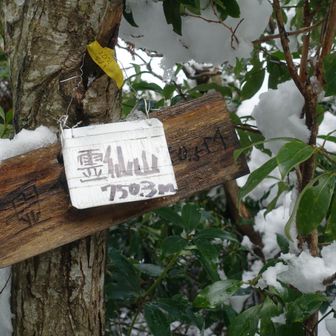 下りは霊仙山によりました。まだ雪が少ないので歩きにくい。
分岐点からトレース無し。雪は少ないから大丈夫でした。