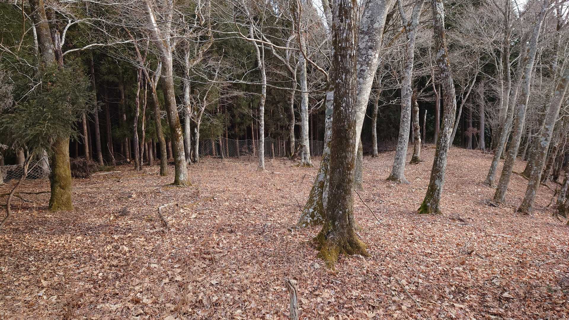 大橅ノ丸（初）に到着。
この先を右に下ります。