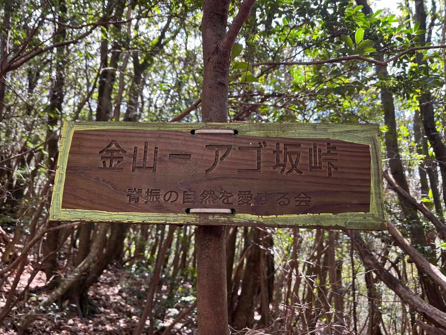 ただ「アゴ」を写したかっただけ