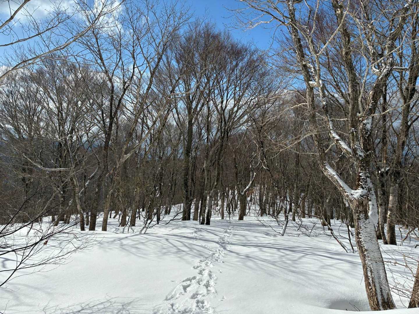 それほど急な登りではないので、雪景色を楽しみながら歩ける