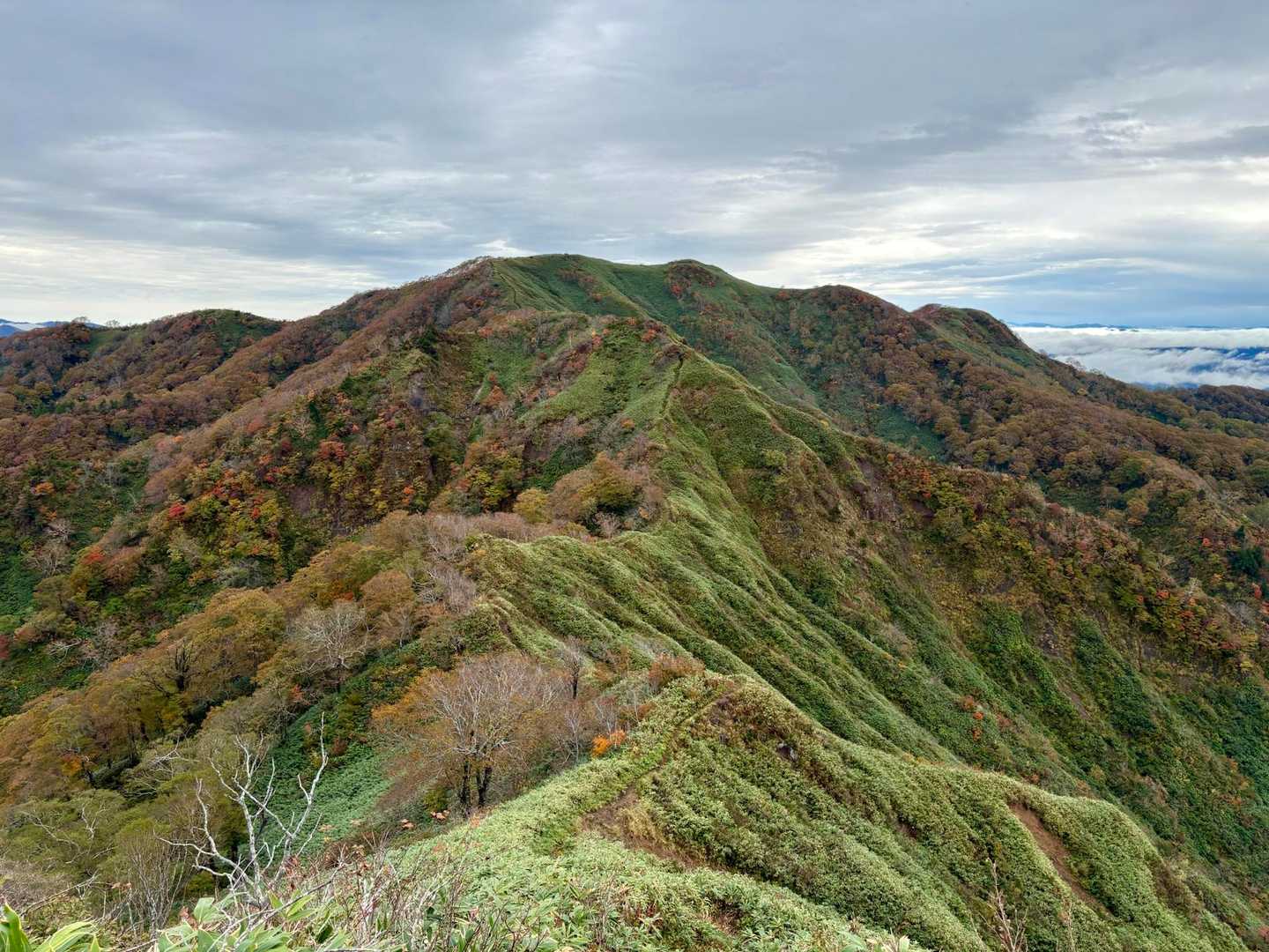 山頂まで辿る登山道がずっと見えています！規模も質感もまるで違いますが、前々回歩いた小蓮華山の「坂の上の雲」の稜線を思い出した。さあ、行きましょう！