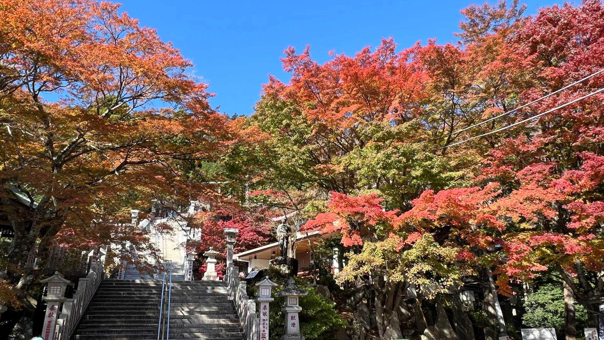 青空に紅葉🍁いいね😊