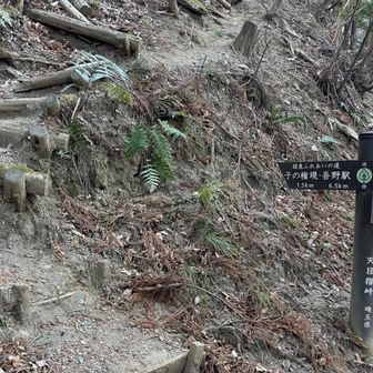 子の権現に向かう