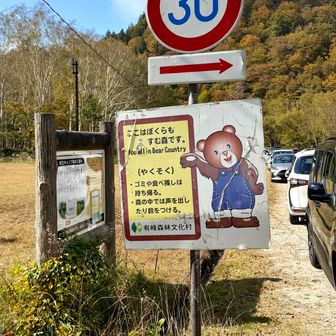 ここはぼくらもすむ森です🐻