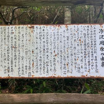 江戸時代からの水場。
この先から林道。