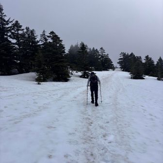 残雪をテクテク