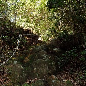 ＃５。
『初心者』の定義は、はっきりしないが、活動日記のタグで「初級者向け」をAIが学習しているかも。