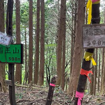 そして山頂到着
出発から1時間くらいで来れちゃった