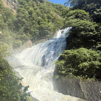 吊り橋口からの眺めも良し👍