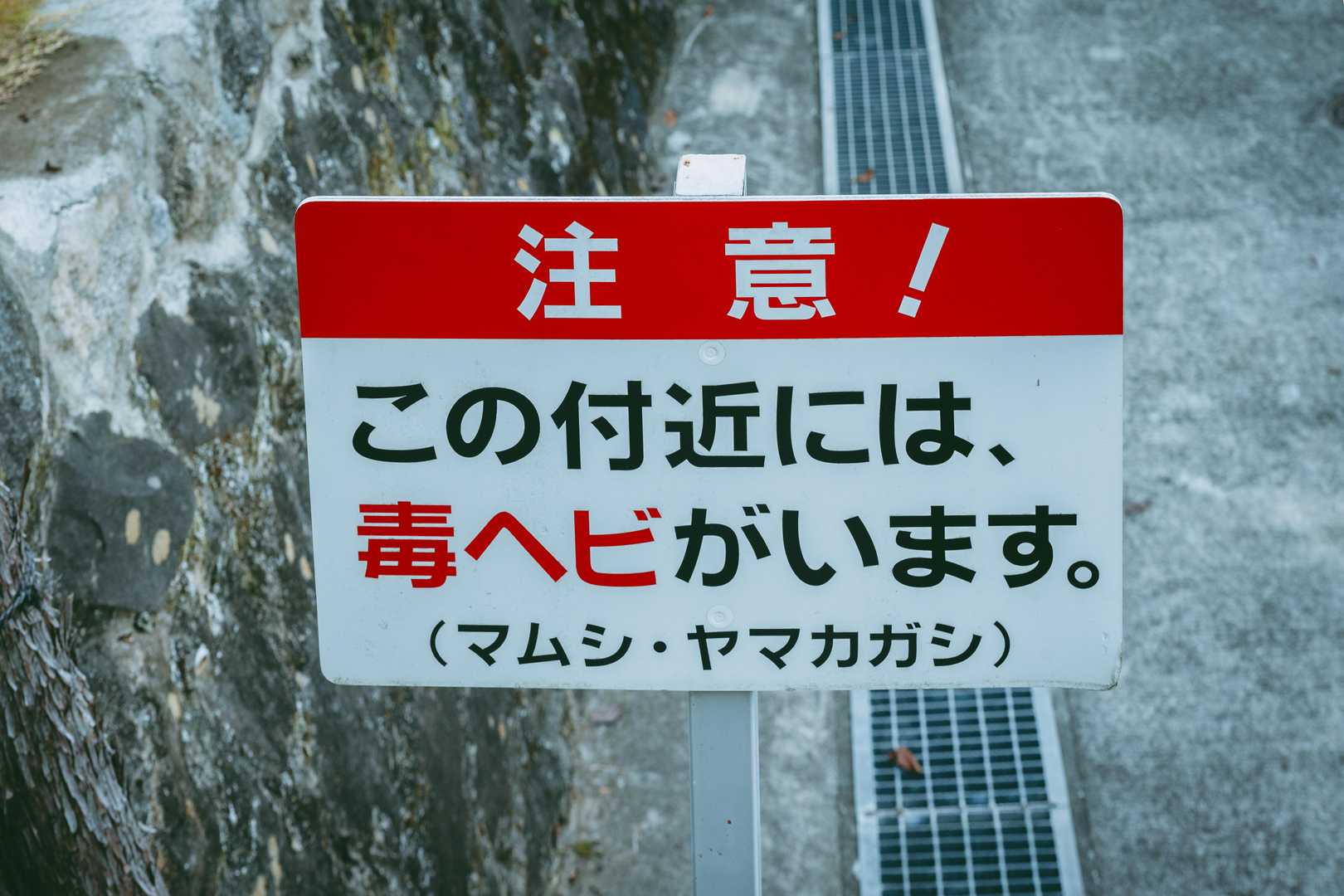 塩ノ山-向嶽寺 縦走コースの写真