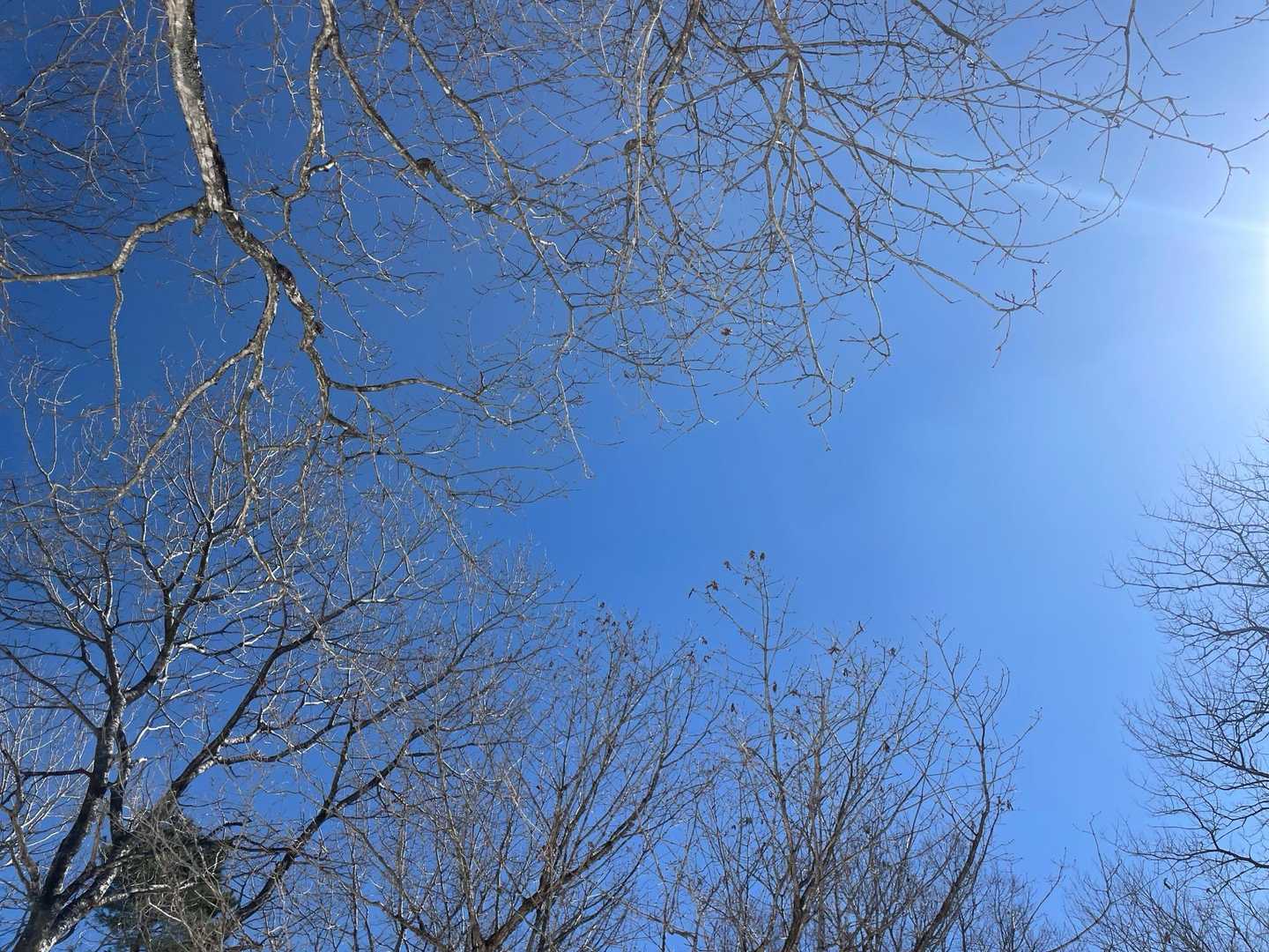 青空が綺麗です