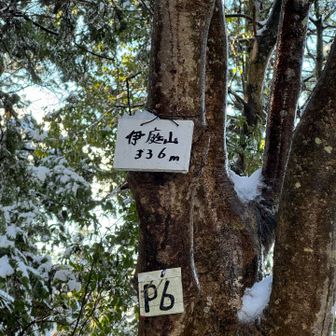 伊庭山（標高336m）