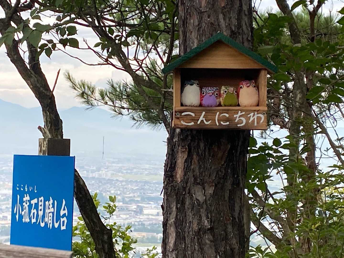見晴し台には新しい仲間も増えてました😄
🐥🐥🐥🐥