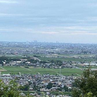 意外と名古屋のビル群まで見えました🏙️
