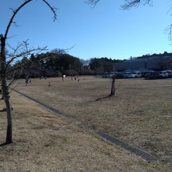 平和です、なによりです。