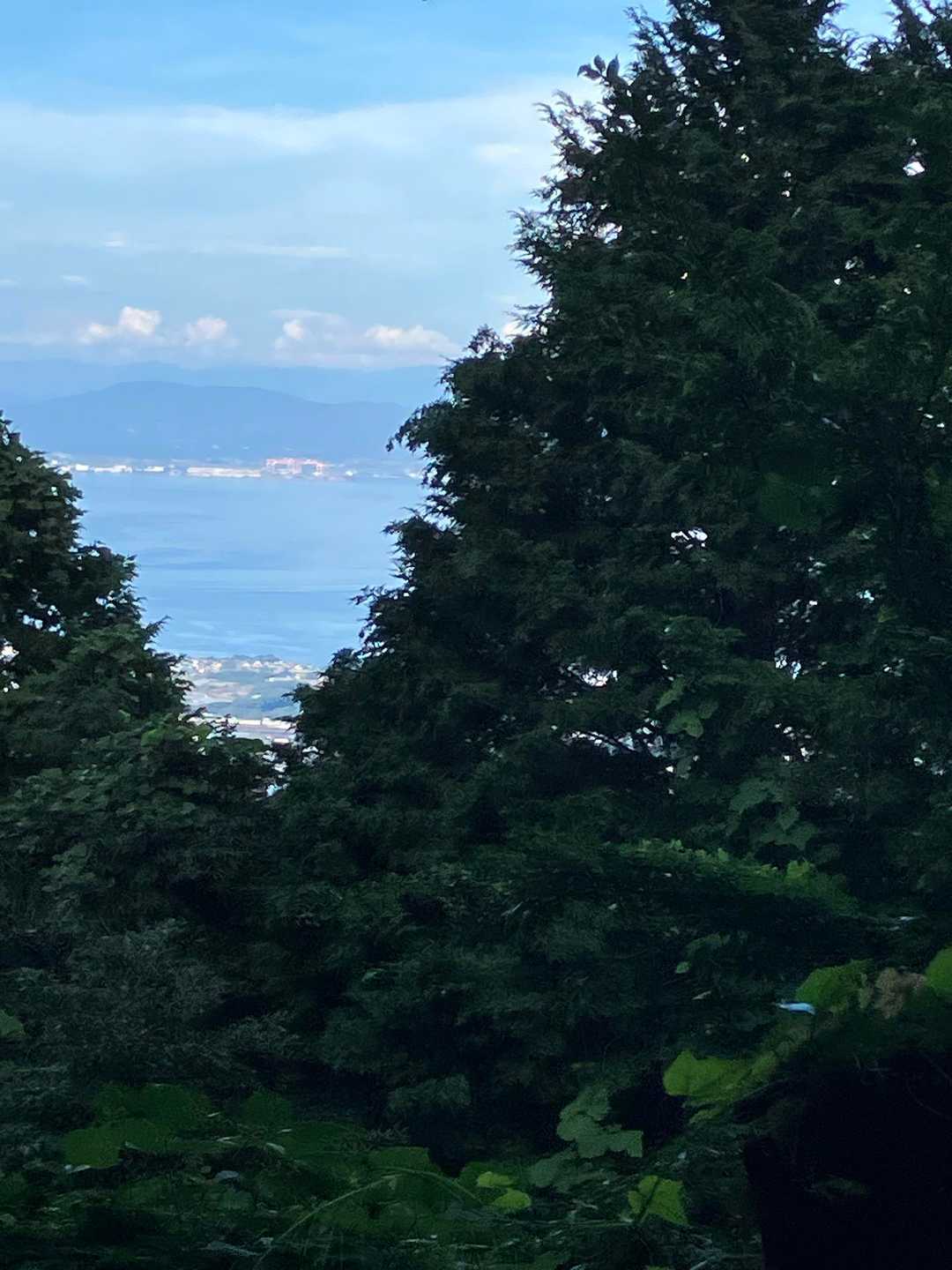 舞岳 往復コースの写真