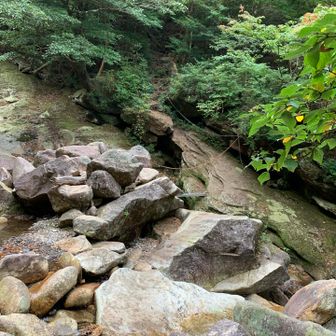 川向こうから渡って戻ってきました。
岩の斜面は滑りやすく、ロープに頼りそうになりますが、ゆるく張られているので、頼り過ぎはむしろ危険です。
山学舎の岩永さんのアシストがあったので、安心でした。
目の前で足を滑らせている人を見ると、自分も滑りこけるんじゃないかと不安が増してしまいますね。