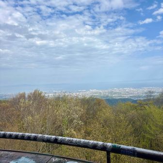 眺望は良いが落書きだらけ❌