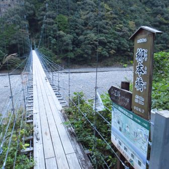 柳本橋、揺れます