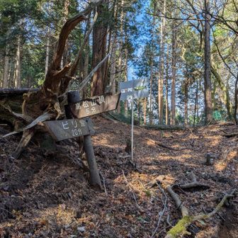 高松山山頂への稜線に到着。あと5分ですって。