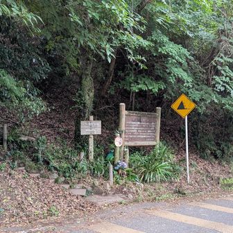 今日はリカバリー登山なので
ゆっくりゆっくり歩く