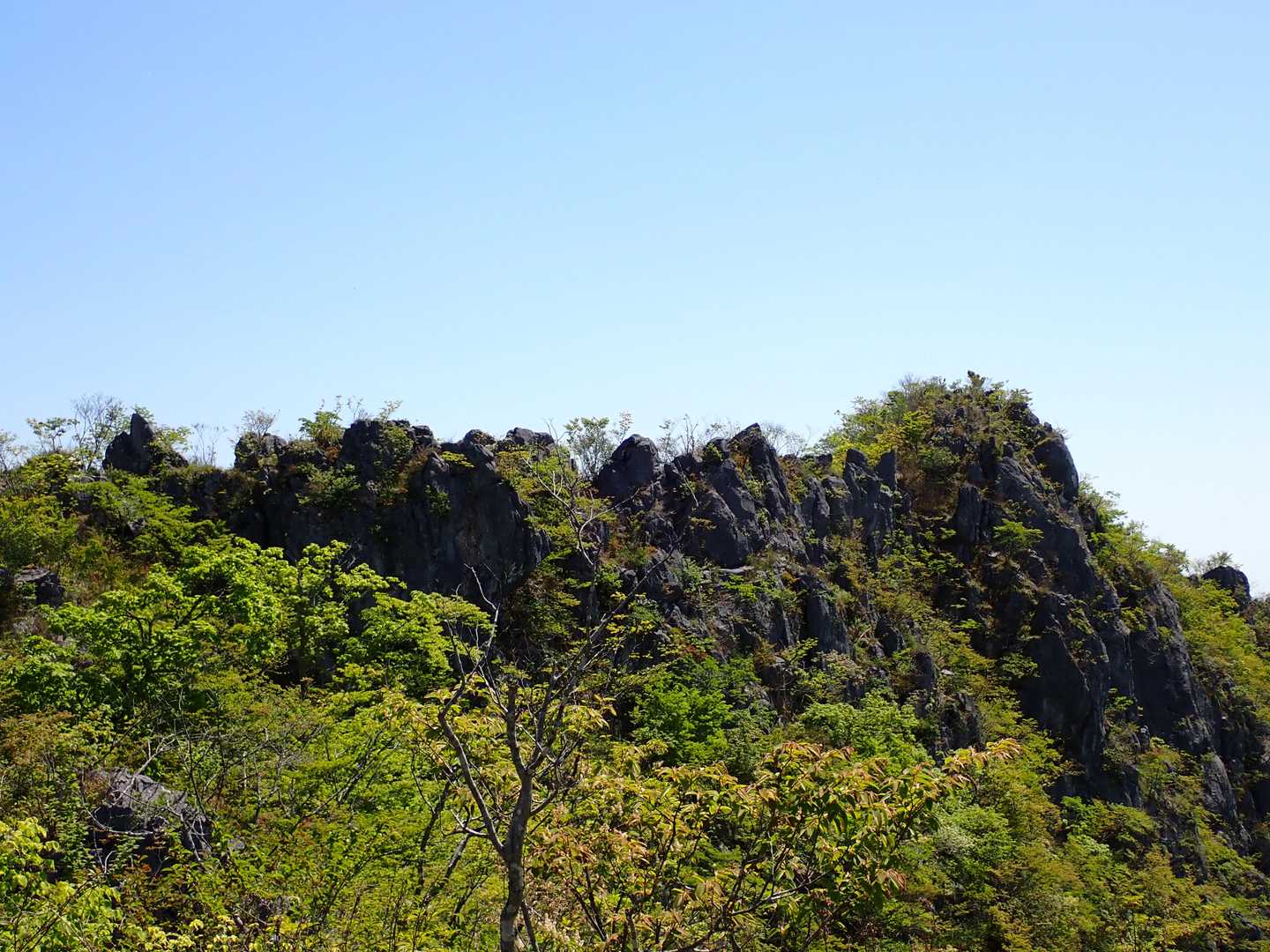 再び、振り返って岩尾根
ここも、歩いてきたんだ…