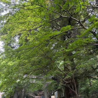 11月中旬くらいからかな🍁