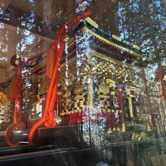 金色に輝く御神輿。
文化元(1804)年に奥社、九頭龍社、中社、宝光社に配すべく制作された4基の内、唯一現存するもの。江戸時代には江戸まで上って出開帳を催した（説明板より）。同じ神輿庫の中には平成3年に新調された神輿もあります。