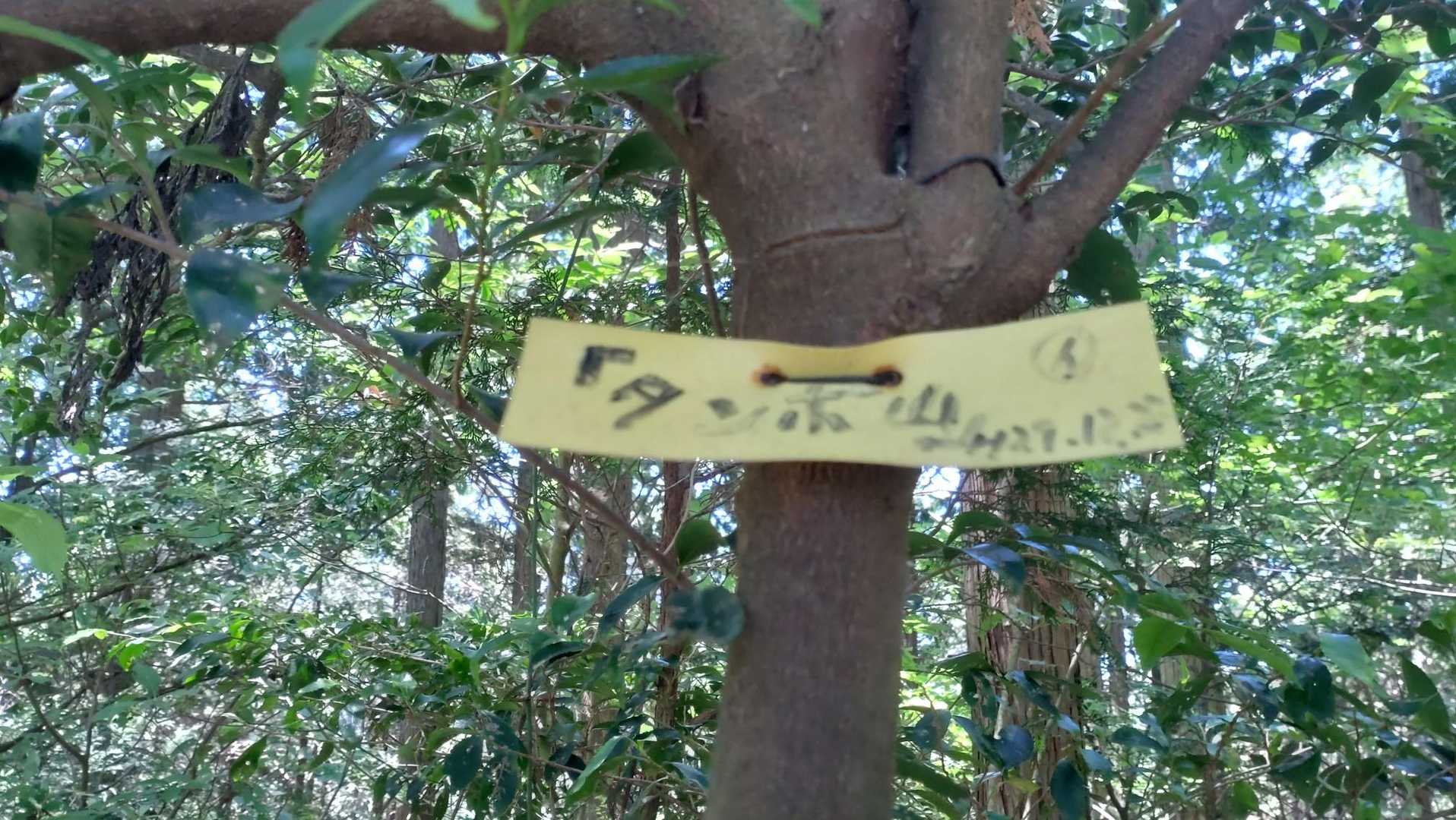タンボ山