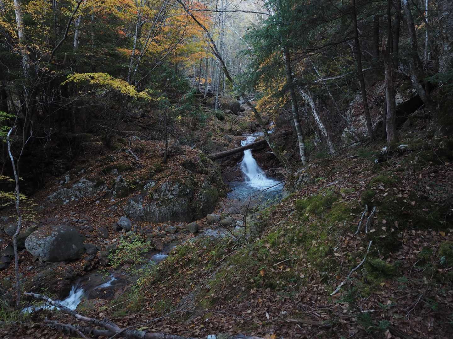 渓流添いの登山道は夏、気持ちよさそう。