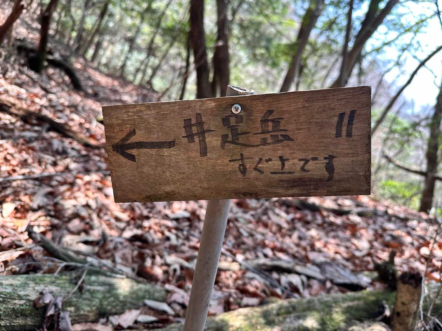 下ったら登り返しますわよねっ
はい

【すぐ上です】からみた道が