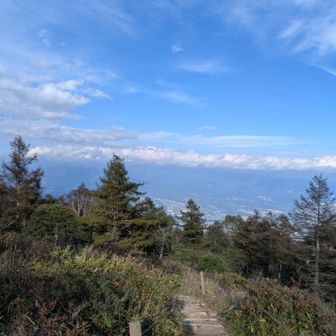 うひょー山梨市街が見える〜！