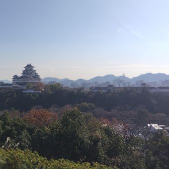 初日の出スポット🌅