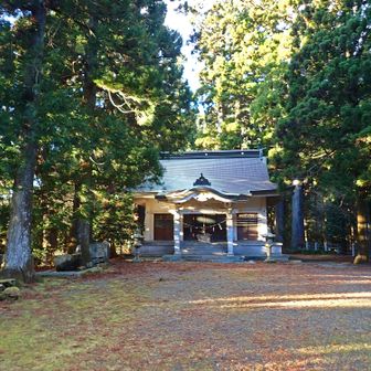 穂積神社：ここで出会った方に、シモバシラの霜華見るならもう時間が遅くて溶けちゃってるかも、と言われ焦ります…😨