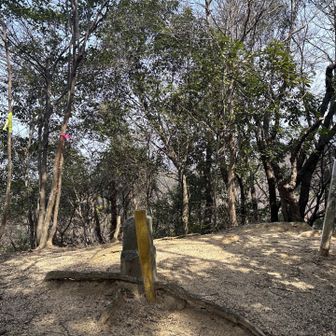 加納山
眺望ありません